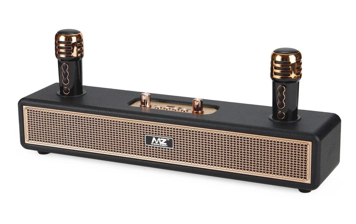 M22VP Karaoke Speaker
