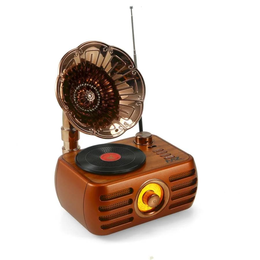 M305 Retro Radio Speaker